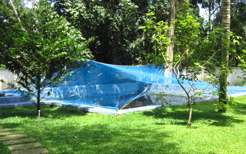 Best homestay for families with kids in Alappuzha
